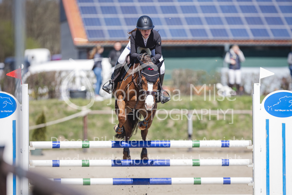 220416_3_A-Springen2-407 | Frühlingsfest der Pferde
Herford
16.April 2022
03/2 Sprigprüfung mit steigenden Anforderungen Kl. A** geschlossen 44-481 RLP