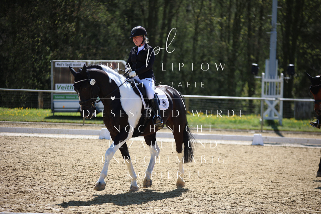 IMGT0966 | pl-fotografie