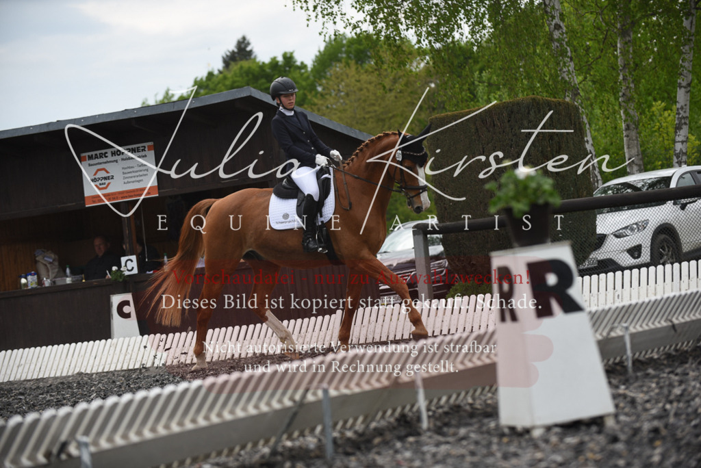 20230513_JK-Röhrsdorf-16-167 | Pferde- und Turnierfotografie in Westsachsen. Pferdeportraits, Auftragszeichnungen und intuitive Kunst.
