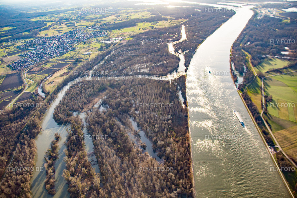Auer Köpfle  Illinger Altrheinauen | Luftbild: Auer Köpfle  Illinger Altrheinauen in Au am Rhein im Bundesland Baden-Württemberg in Deutschland. Foto: IMG_085968.jpg vom 06.02.2016 durch Werner Riehm/FLY-FOTO.de - Realisiert mit Pictrs.com