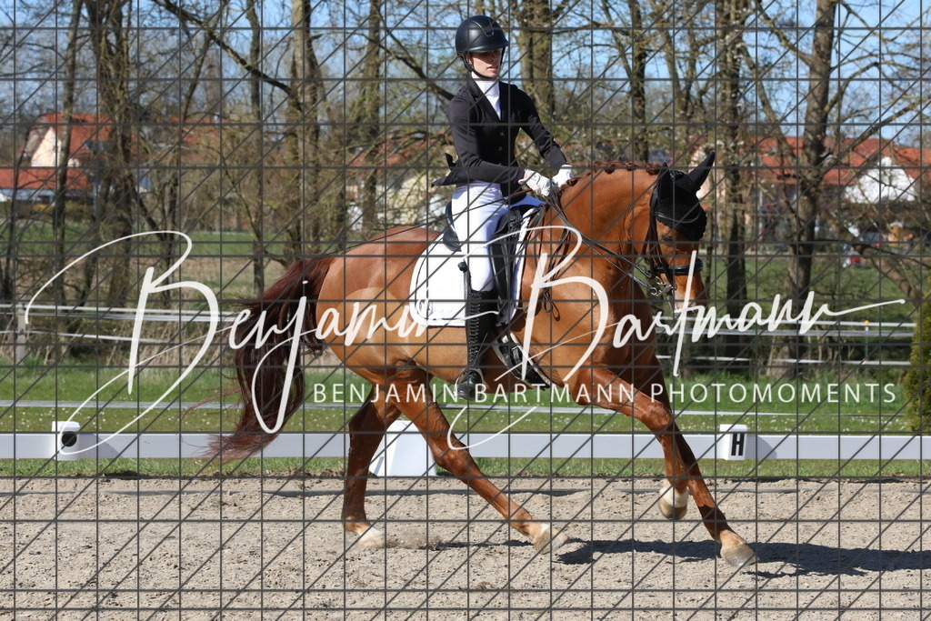 AZ2A5182 | Benjamin Bartmann Photomoments