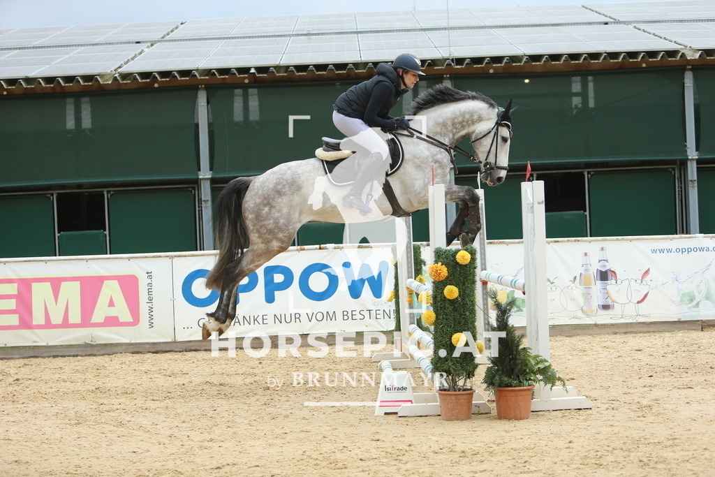 DL2Q6209 | Willkommen bei Brunnmayr - Design & Fotografie – Ihrem Spezialisten für Reitturniere und Pferdeveranstaltungen in Oberösterreich, Salzburg und Bayern! Seit über 17 Jahren sind wir leidenschaftlich dabei.