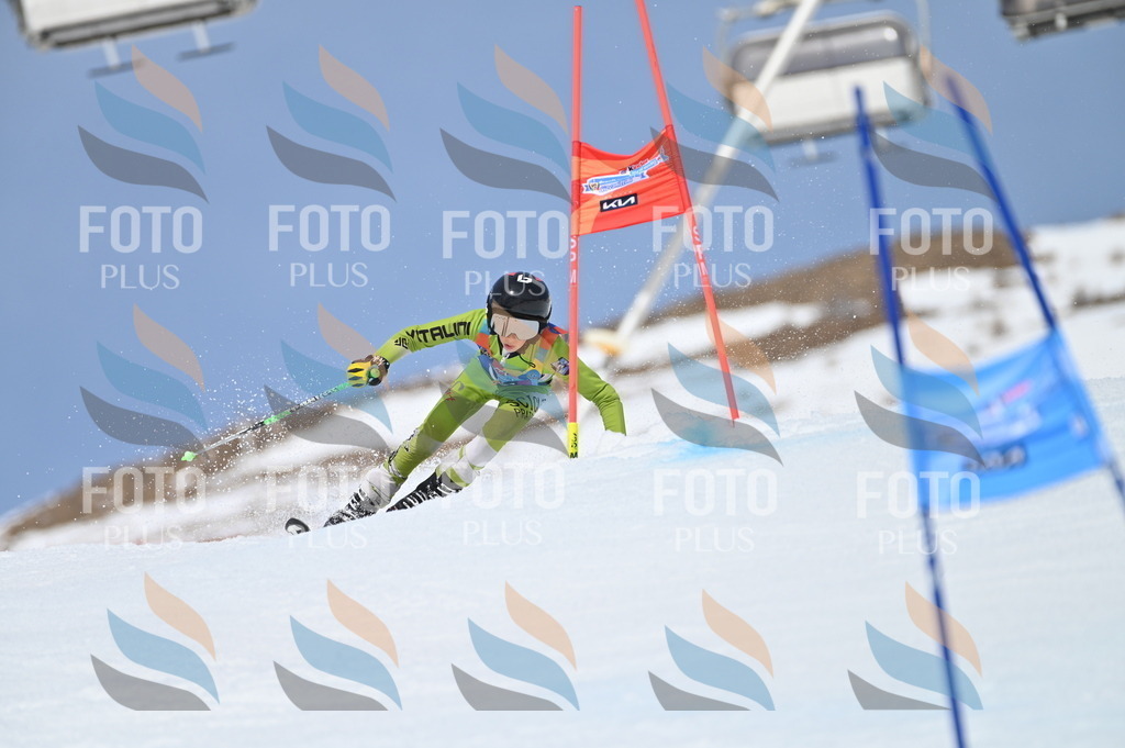 BGV_2974 | holidayphoto