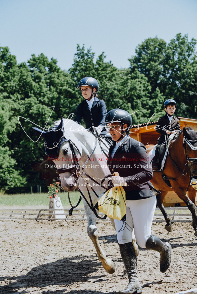 DSC_2373 | Pferde- und Turnierfotografie in Westsachsen. Pferdeportraits, Auftragszeichnungen und intuitive Kunst.