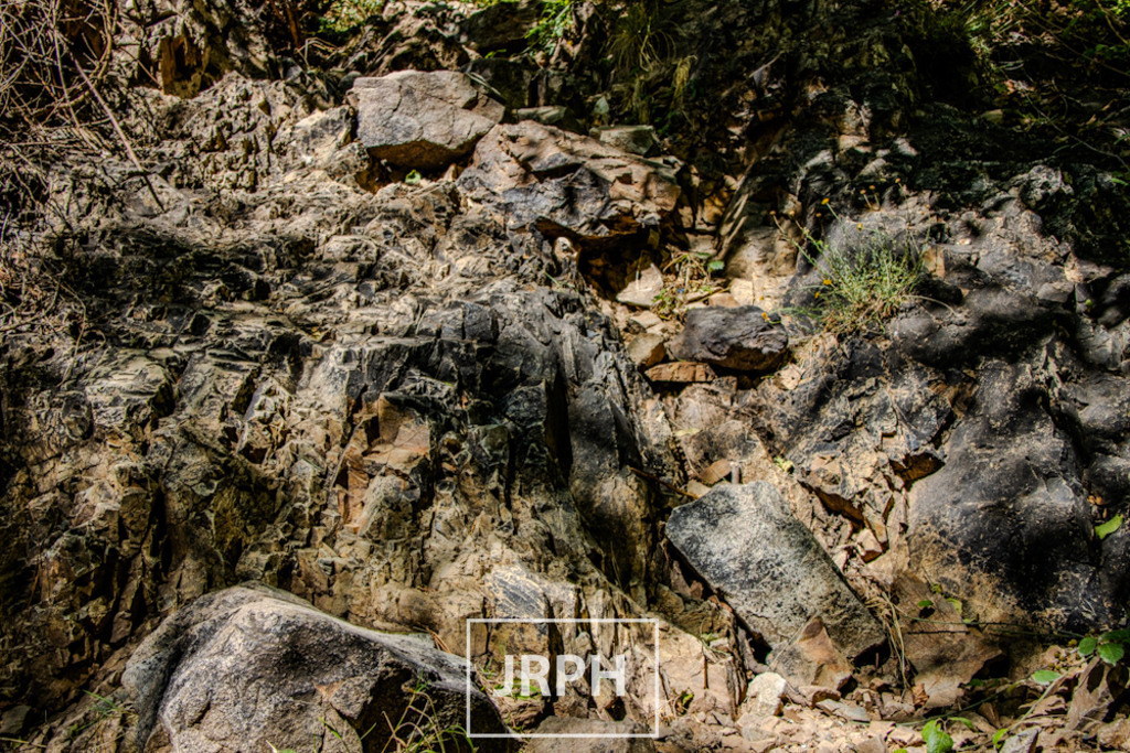 IMG_8857 | jrph - Realisiert mit Pictrs.com