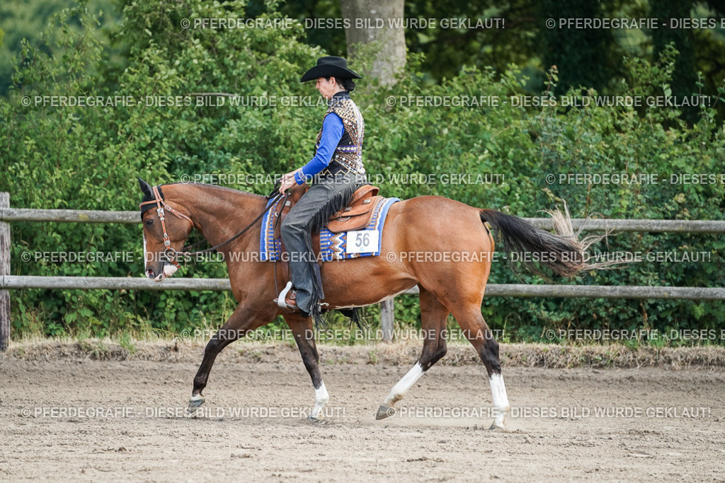 DSC06237 | Pferdegrafie