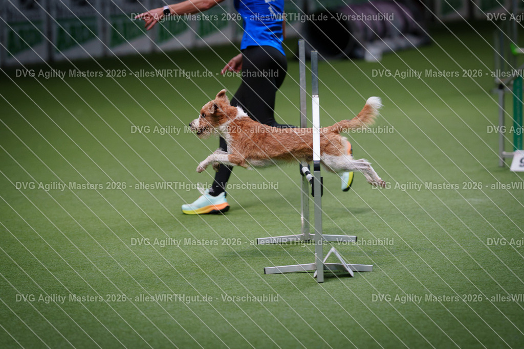 allesWIRTHgut_Tierfotografie-DVG_Agility_Masters_2026-09_17-7R509047 | Professionelle Tierfotografie in Mönchengladbach von Daniel Wirth (allesWIRTHgut). Liebevolle & natürliche Bilder von Hunden & Katzen für unvergessliche Erinnerungen.