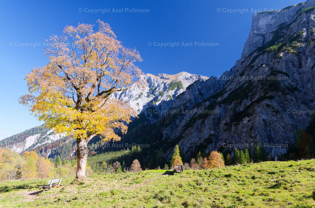10-IMGP7476_v1 | fotografiert von Axel PollmannLeonhardi Wallfahrt Benediktbeuern und Murnau, Fronleichnam, Fasching, Landschaft im Loisachtal und Benediktbeuern  - Realisiert mit Pictrs.com