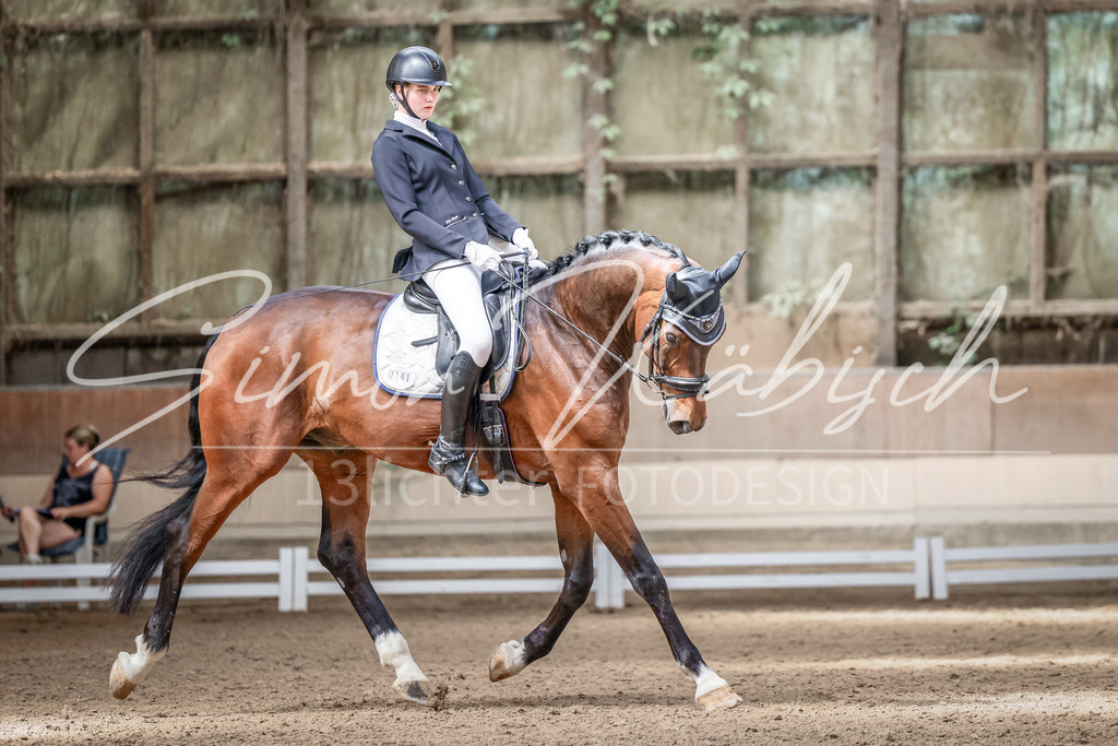 20250622-_3LI1118 | Tierfotografie Pferde, Hunde, Katzen, Haustiere.
Turnierfotografie Reitturniere, Reiten, Springreiten, Dressur in Hanau, dem Main-Kinzig-Kreis und dem Rhein-Main- Gebiet um Frankfurt