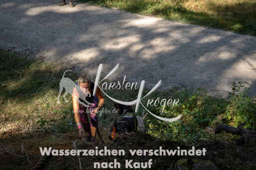 1227_ZZ94554 | kk-dogfotos