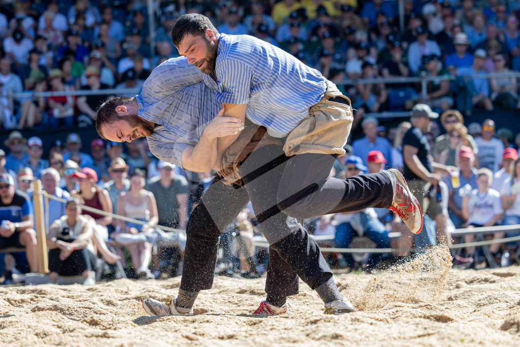 TESSINER2025_04_Gang_0749 | Die Schwinger des Schwyzer Kantonalen Schwingerverbandes: Fotos, die Dynamik und Leidenschaft festhalten, sowie emotionale Momente aus dem traditionellen Schwingsport zeigen. - Realisiert mit Pictrs.com