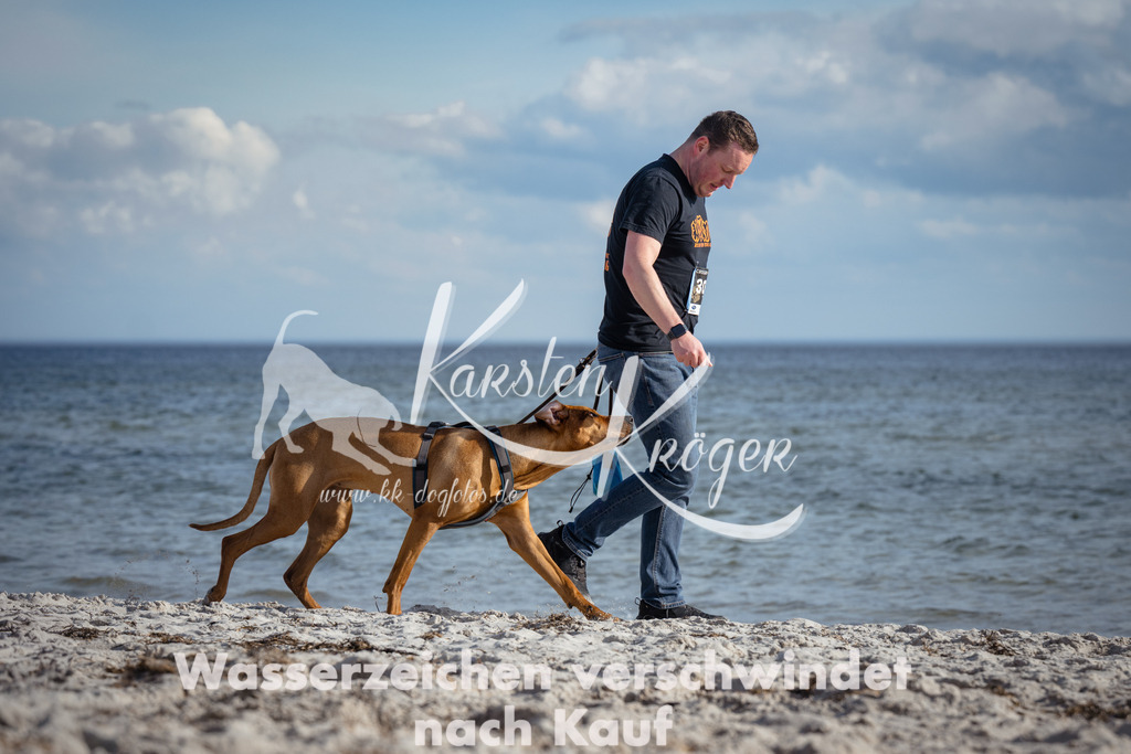 1338_ZZ92377 | kk-dogfotos