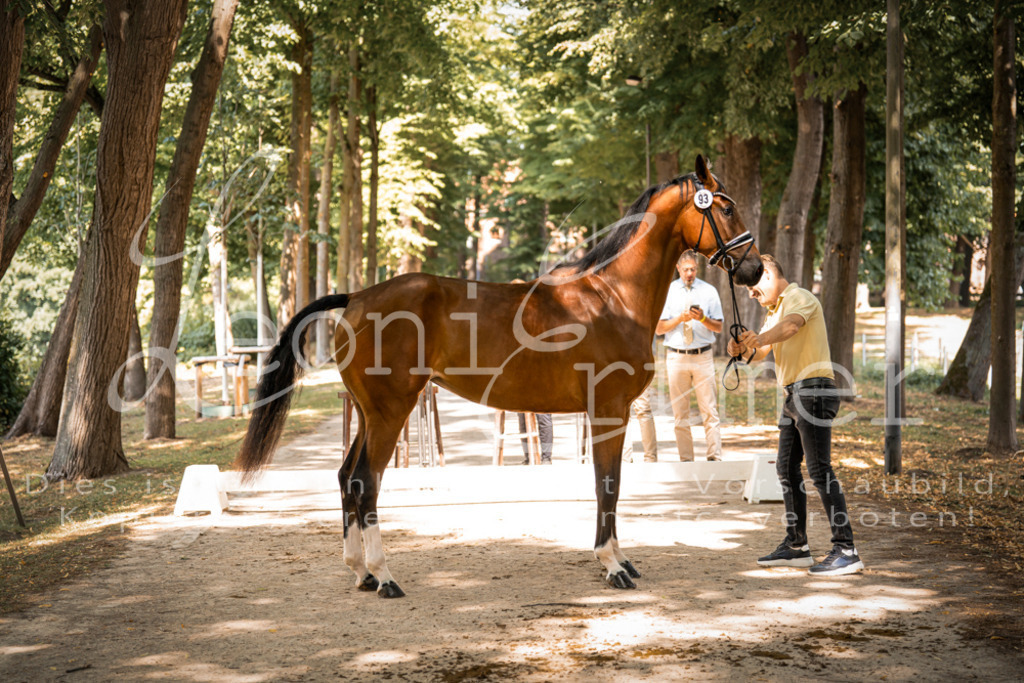 FrPfM00237 | Leoni Ertmer Photography - Realisiert mit Pictrs.com