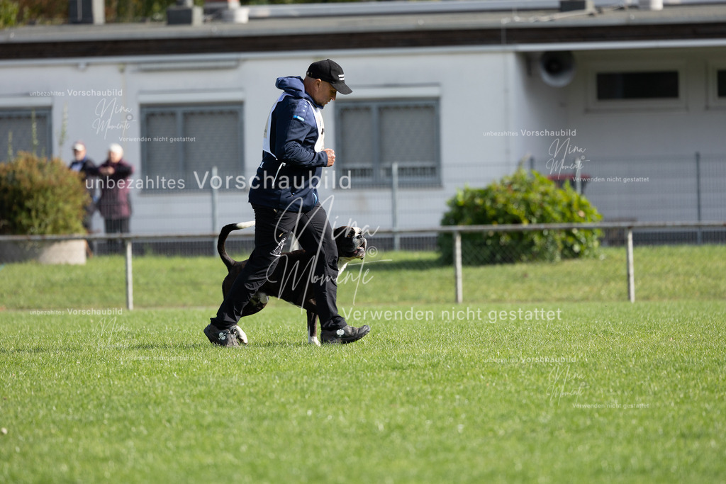 _16A6639 | Einzigartige Fotos von Hunden & Menschen –Actionfotos, Portraits, Vereinsaufnahmen & Paarshootings – authentisch, lebendig & mit Herz.