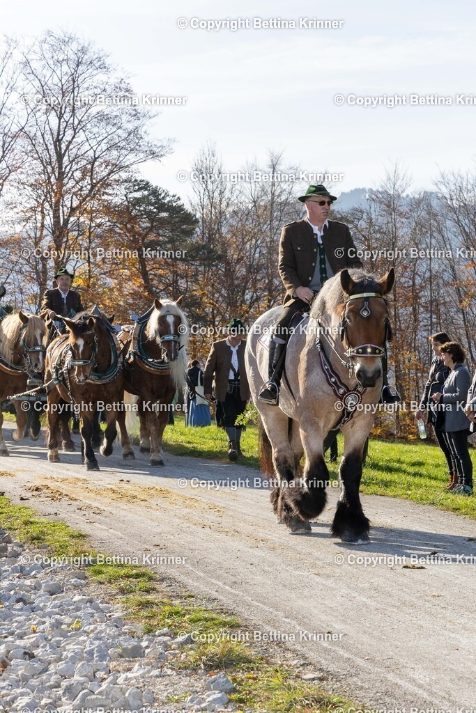LBT24-1508 | foto-bettina-krinner - Realisiert mit Pictrs.com