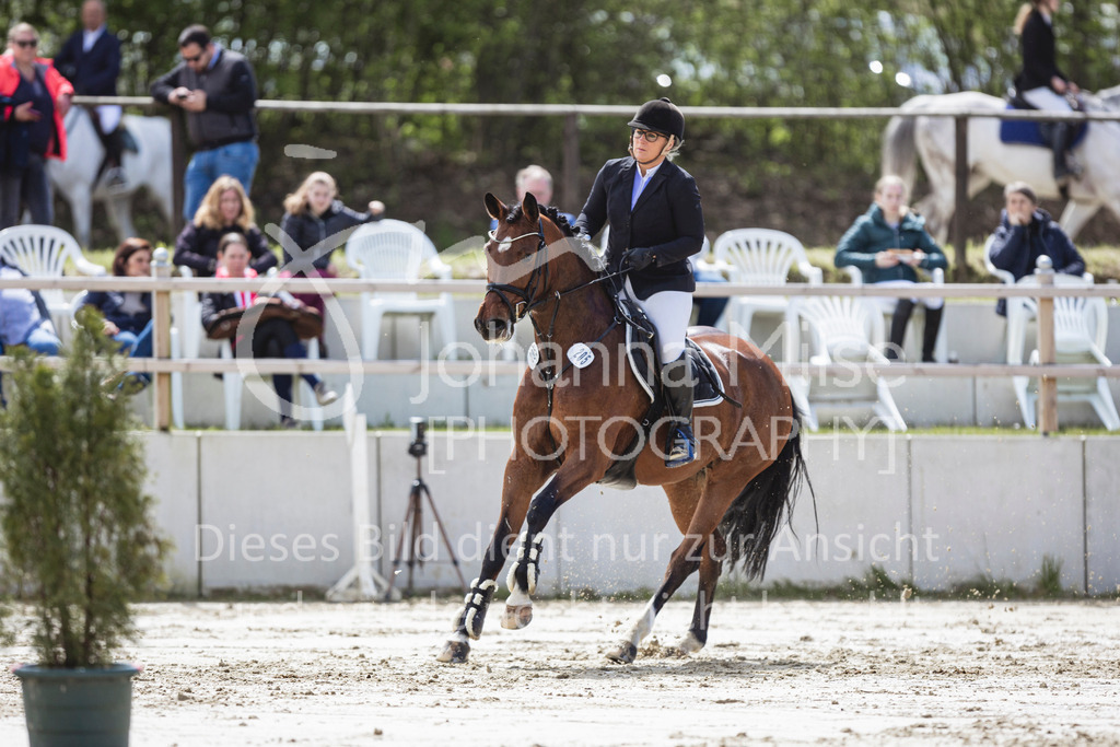 240428_Spenge_M2-Spr-118 | Deine schönsten Turniermomente als professionelle Fotos! Entdecke hochwertige Pferdesport-Fotografie im Online-Shop. Jetzt Fotos finden & bestellen!