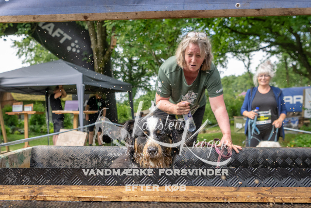 1033_ZZ91284 | kk-dogfotos