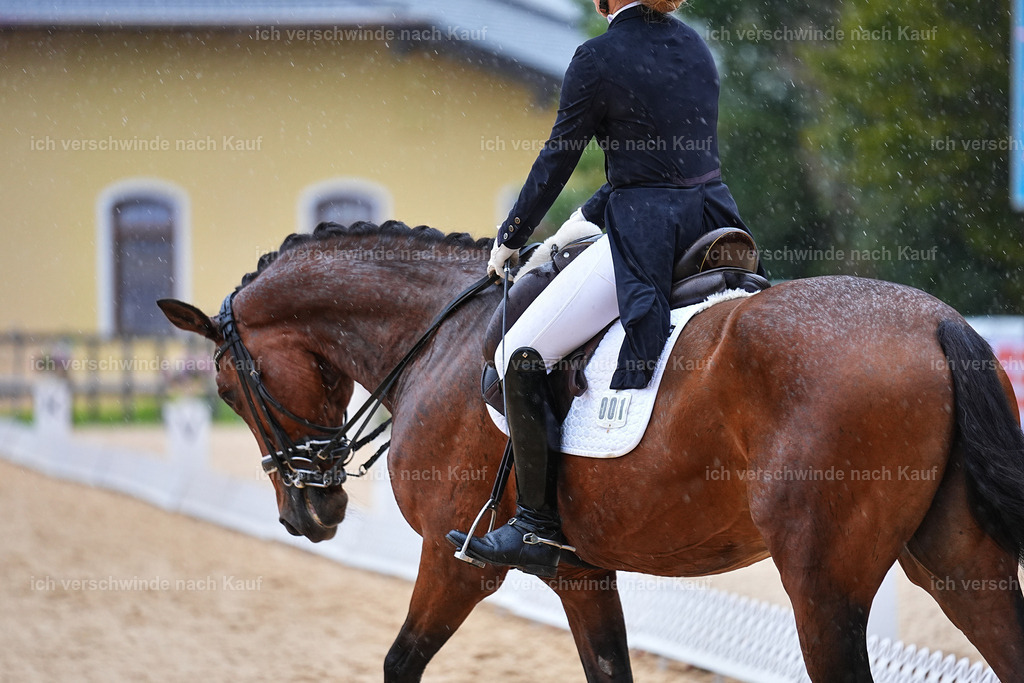 8_1-001-Klasse S_  -Marixx-4328 | working equitationturnier fotograf videograf stoibphotography marixx film working equitation deutschland reitsport turnierfotografie eventfotografie equestrian events