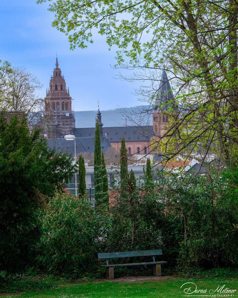 _DSC6909 | Fotografien, Fotos und Bilder aus Mainz, Frankfurt, Wiesbaden und anderen Orten auf der Welt - Fotografiert von Darius Metzner