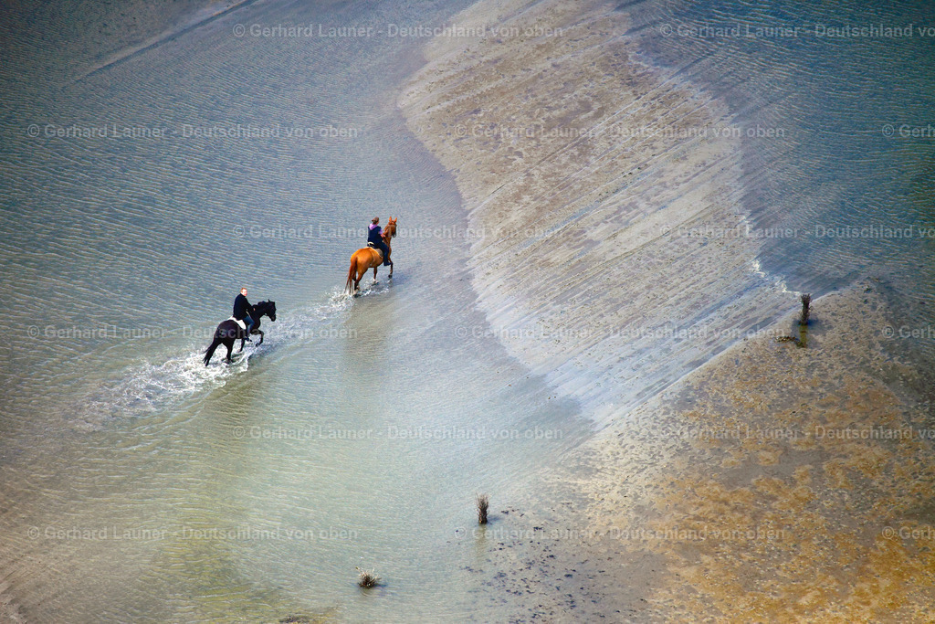 3090882 | Ausritt im Wattenmeer bei Neuwerk