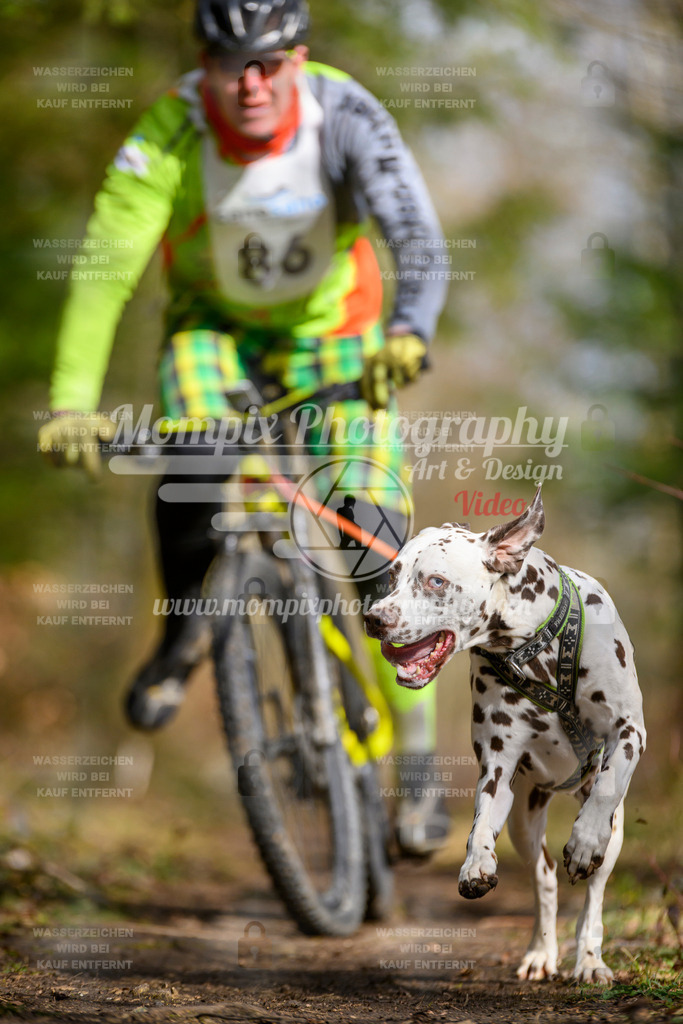 MompixPhotography_ReiatRennen2024_Bike1H-117 | PayLife