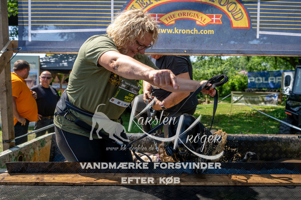 1224_ZZ91107 | kk-dogfotos