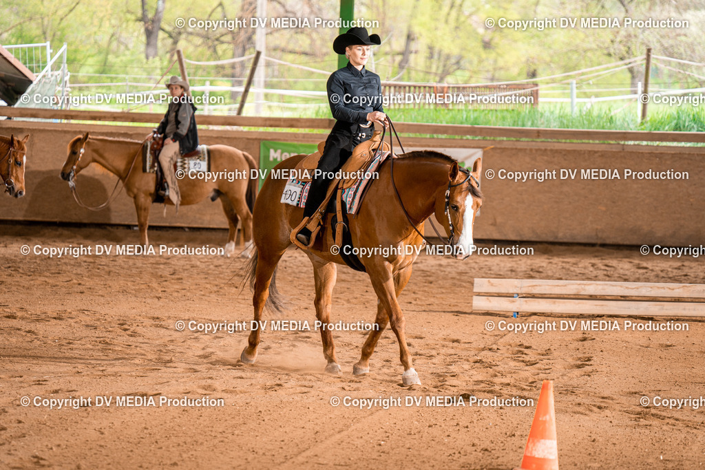 BA400662 | dv-media-shop - Realisiert mit Pictrs.com