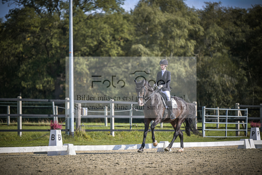 DOS_1944 | Entdecke hochwertige Reitturnierfotos von Foto Oger. Professionell, emotional und authentisch – jetzt Lieblingsmomente im Shop bestellen.Deutschlandweite Turnierfotografie. - Realisiert mit Pictrs.com