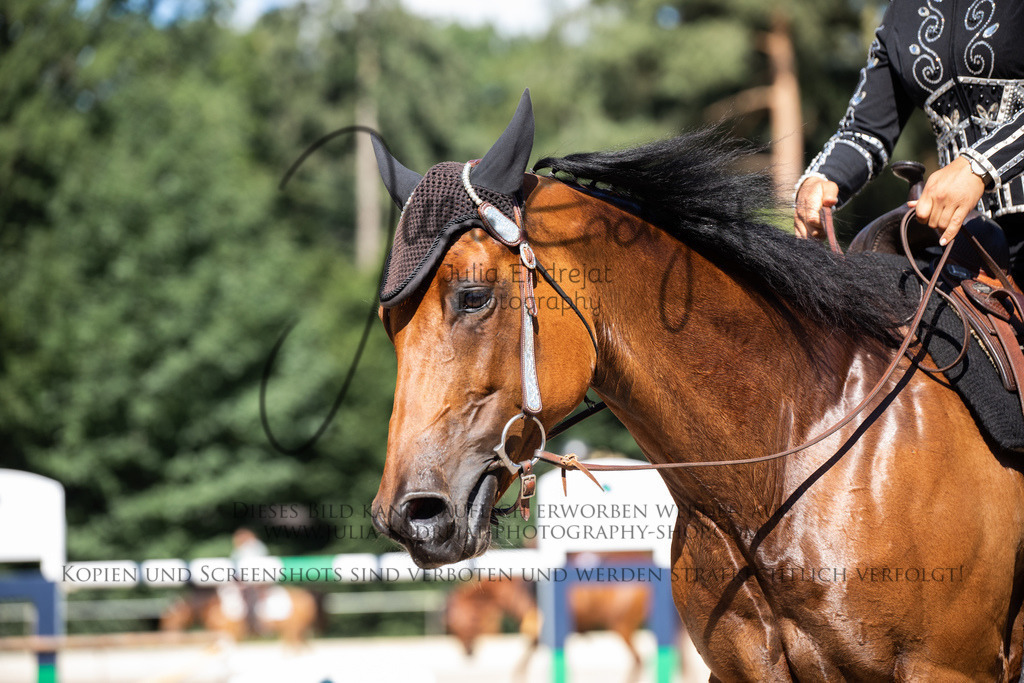 20220626-JuliaEndrejatPhotography-0188 | Julia Endrejat Photography