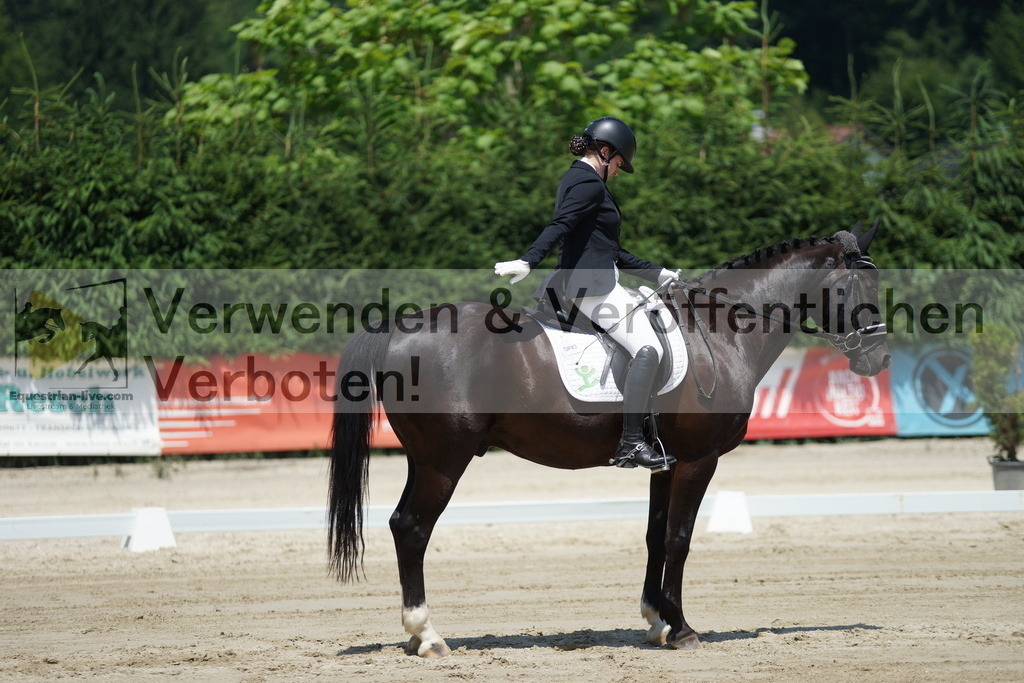 DSC04936 | equestrian-live-com