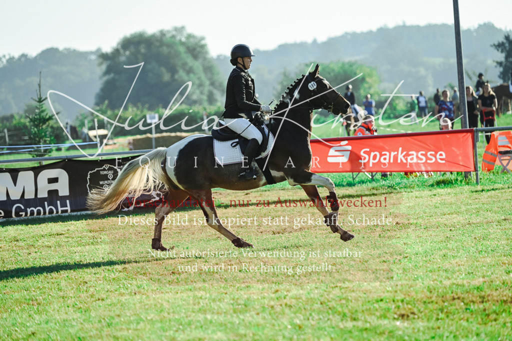 DSC_4480 | Pferde- und Turnierfotografie in Westsachsen. Pferdeportraits, Auftragszeichnungen und intuitive Kunst.