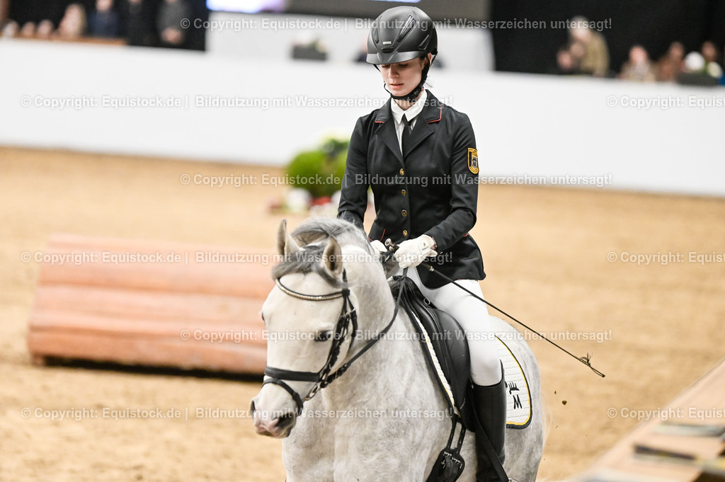20260307_Hengstvorstellung-Marbach_0429 | equistock