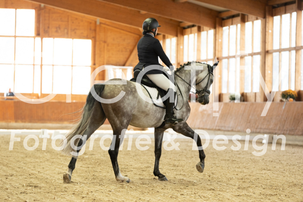 IMG_2449 | Creatify Fotografie