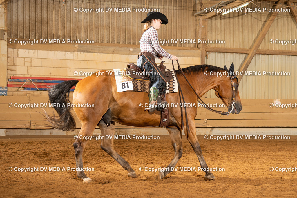 NID01495 | dv-media-shop - Realisiert mit Pictrs.com