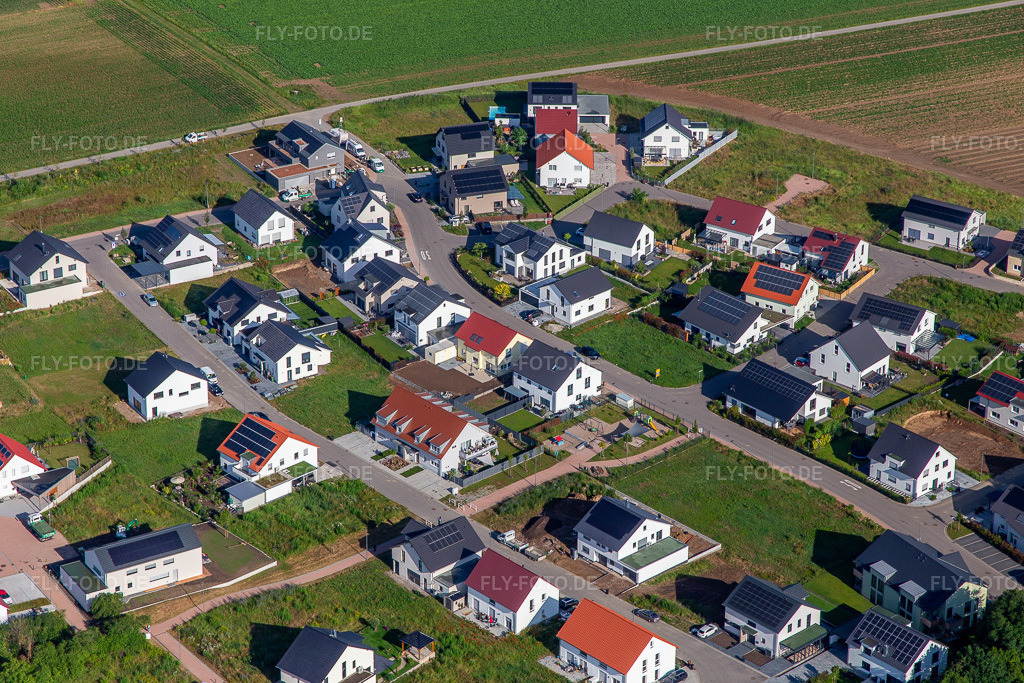 Luftbild: Veilchenweg in Kandel im Bundesland Rheinland-Pfalz in Deutschland. Foto: IMG_141857.jpg vom 18.06.2024 durch Werner Riehm/FLY-FOTO.de