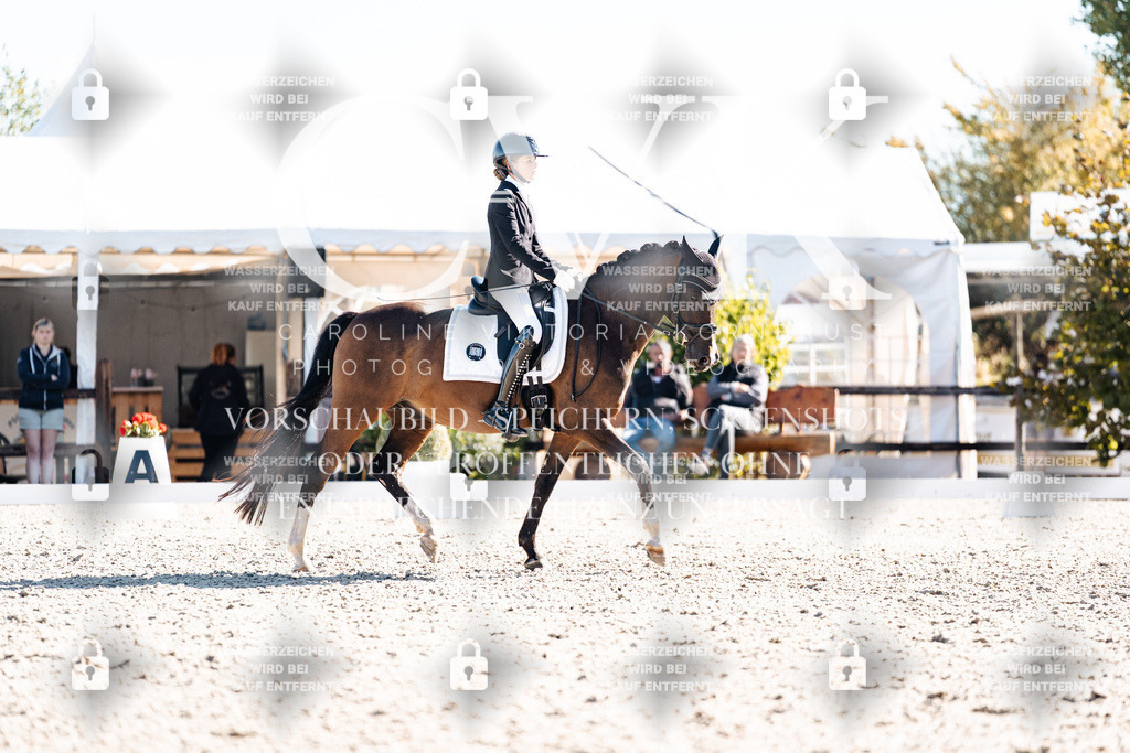 CK908539 | Turnierfotografie Pferdefotografie Trier Rheinland-Pfalz Pferdesport Reitsport Tierfotografie Sportfotografie Pferdevideo Pferdevideografie Equestrianvideography equestrianphotography  - Realisiert mit Pictrs.com