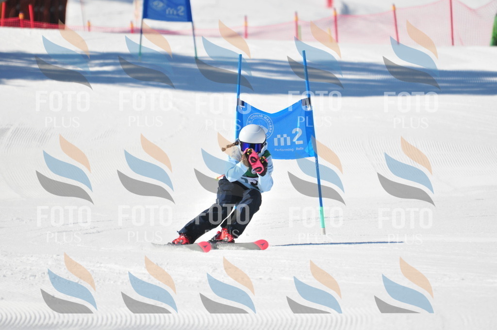 C3927 | holidayphoto