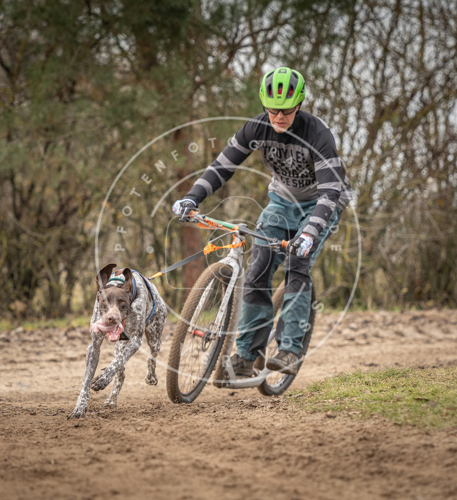 Pfotenfotografie_DV3A9460 | Hundefotografie, Tierfotograf, Pfotenfotografie, Fotoshooting Hund, Hunde Portrait, Hundesport, Hundeportraits, Heideshooting, Hunde, Sportfotograf, Hundefotograf, Turnierhundsport, THS,  - Realisiert mit Pictrs.com