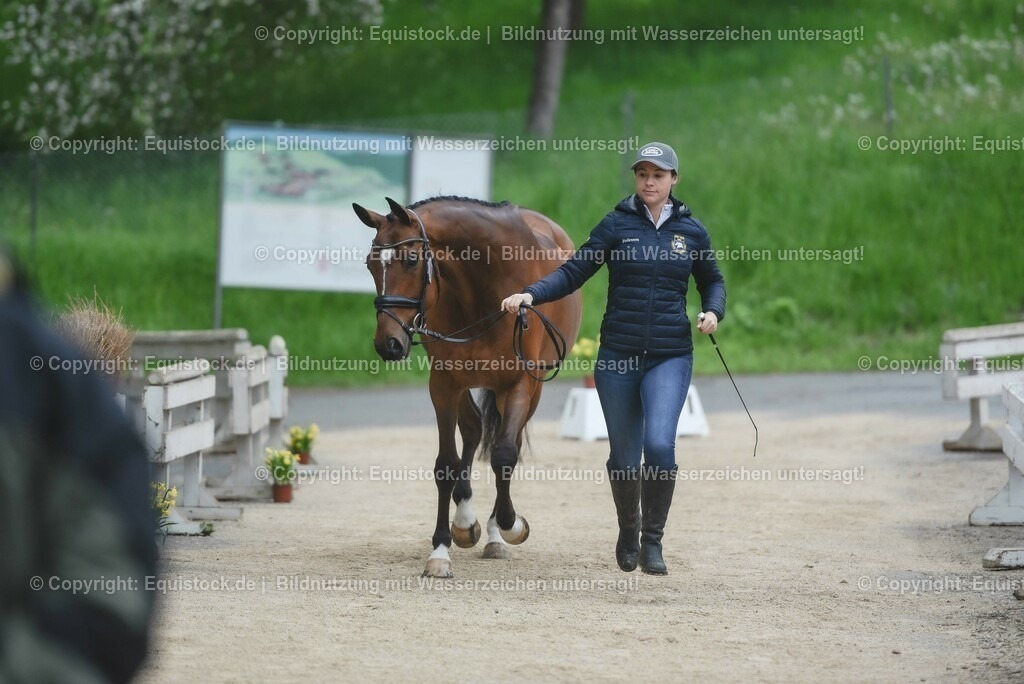 20230514_Impressionen_0117 | equistock
