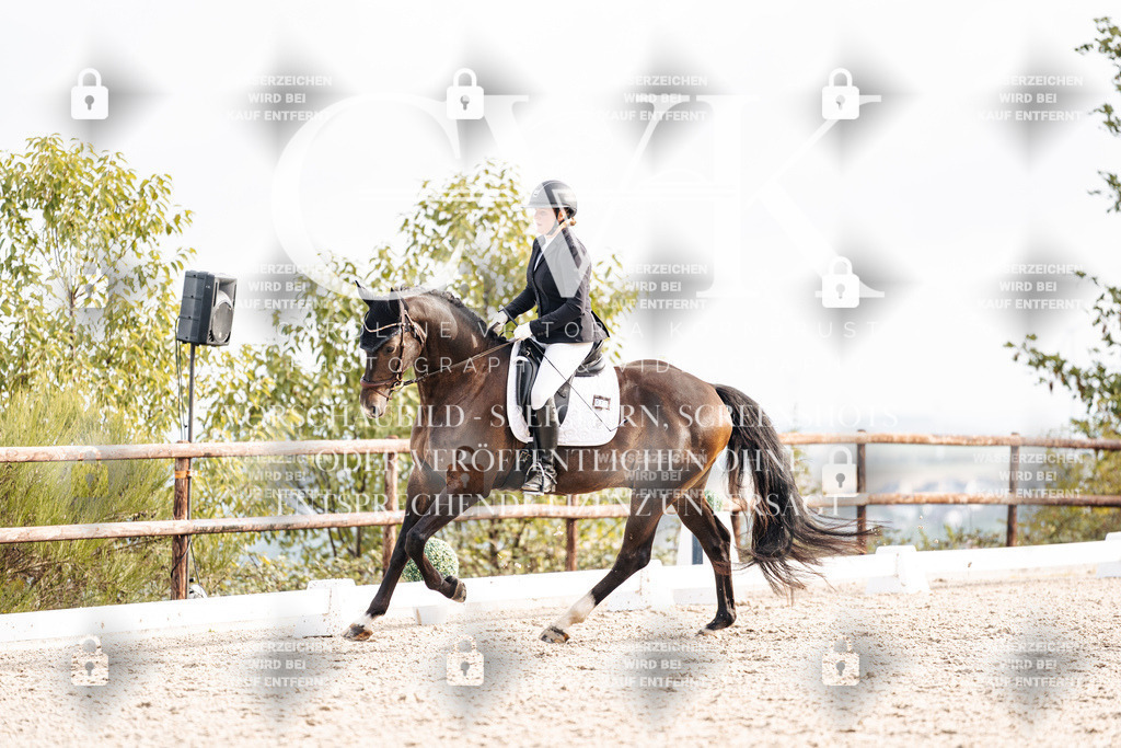 CK901272 | Turnierfotografie Pferdefotografie Trier Rheinland-Pfalz Pferdesport Reitsport Tierfotografie Sportfotografie Pferdevideo Pferdevideografie Equestrianvideography equestrianphotography  - Realisiert mit Pictrs.com
