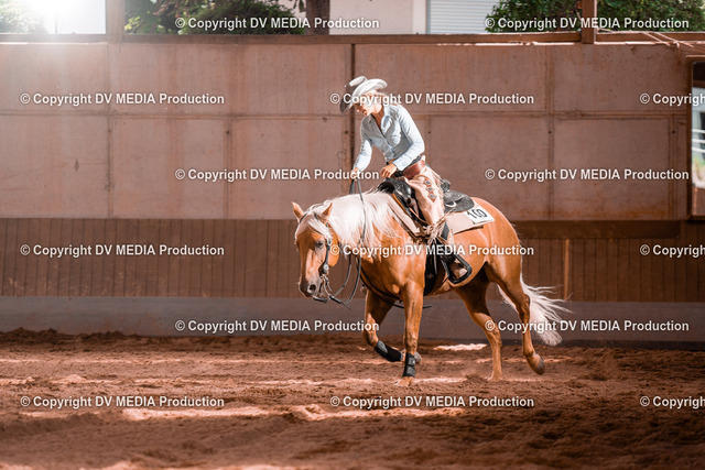 NE100828 | dv-media-shop - Realized with Pictrs.com