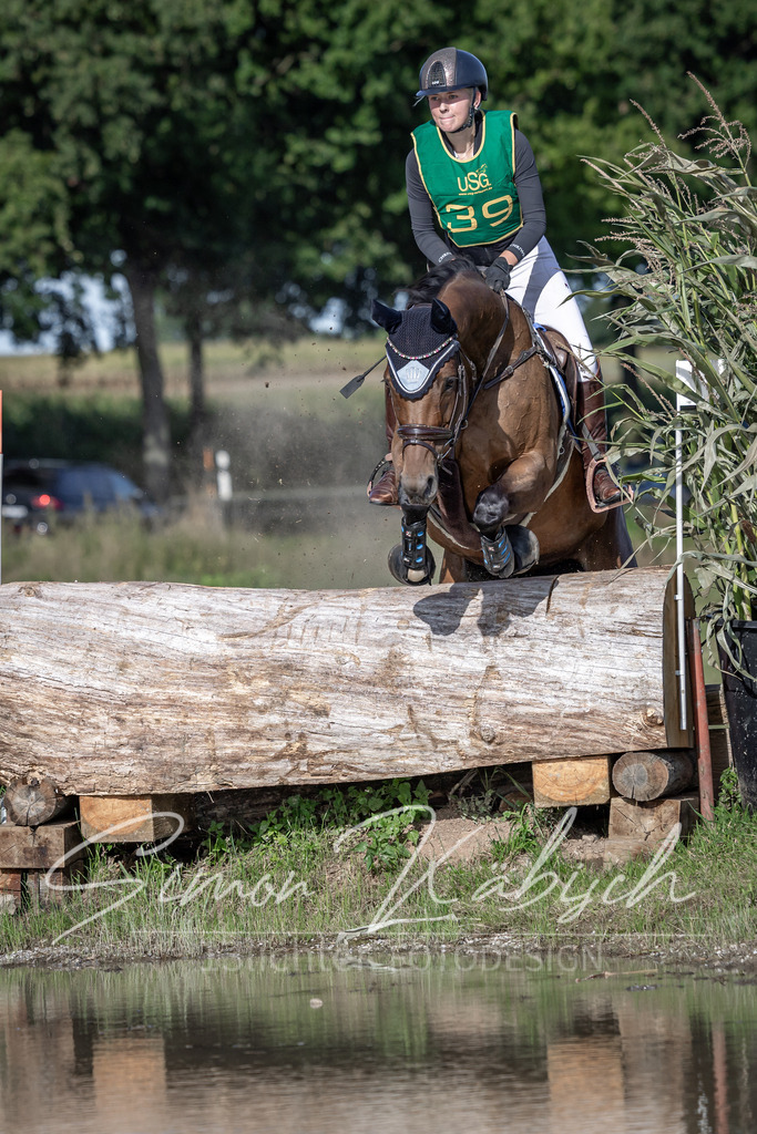 20250907-_3LI4038 | Tierfotografie Pferde, Hunde, Katzen, Haustiere.
Turnierfotografie Reitturniere, Reiten, Springreiten, Dressur in Hanau, dem Main-Kinzig-Kreis und dem Rhein-Main- Gebiet um Frankfurt