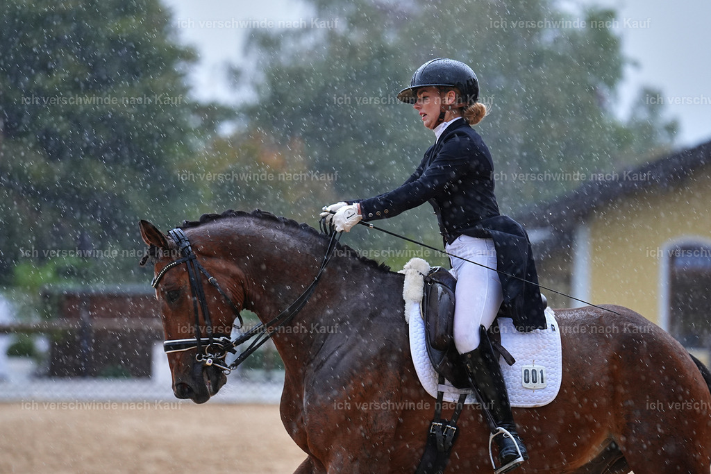 8_1-001-Klasse S_  -Marixx-4338 | working equitationturnier fotograf videograf stoibphotography marixx film working equitation deutschland reitsport turnierfotografie eventfotografie equestrian events