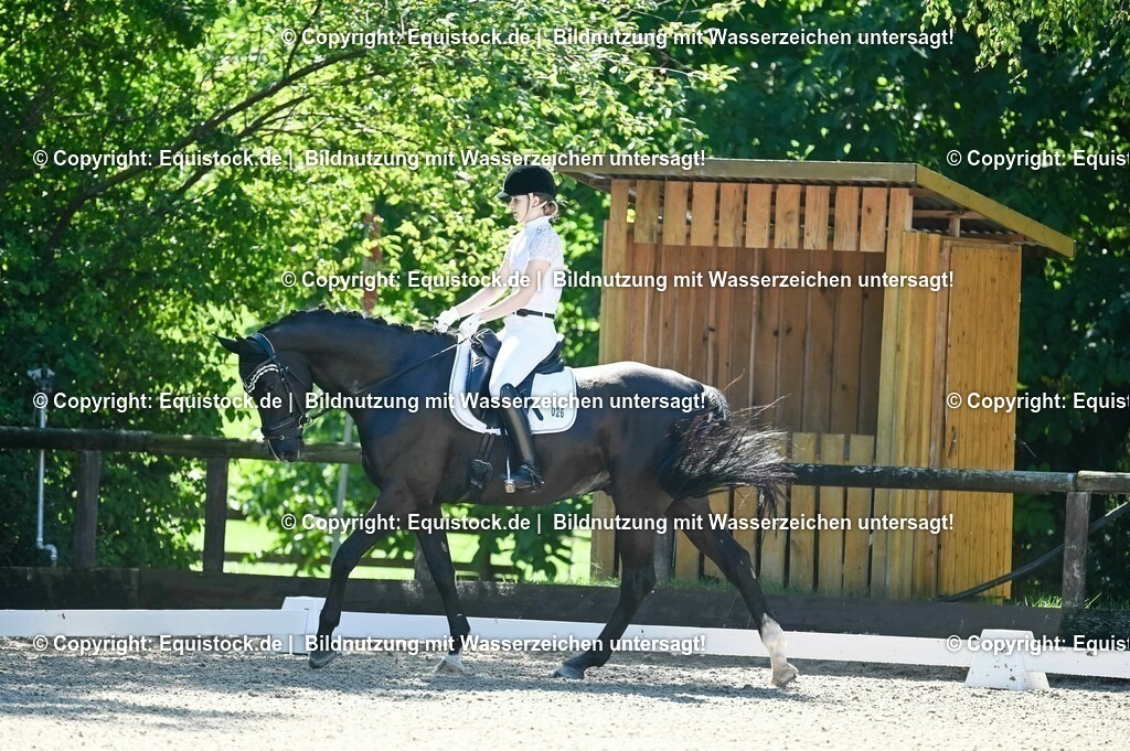 20230908_06_Dressur-L-Trense_0274 | equistock