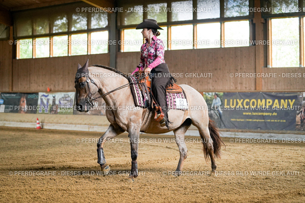 DSC05275 | Pferdegrafie