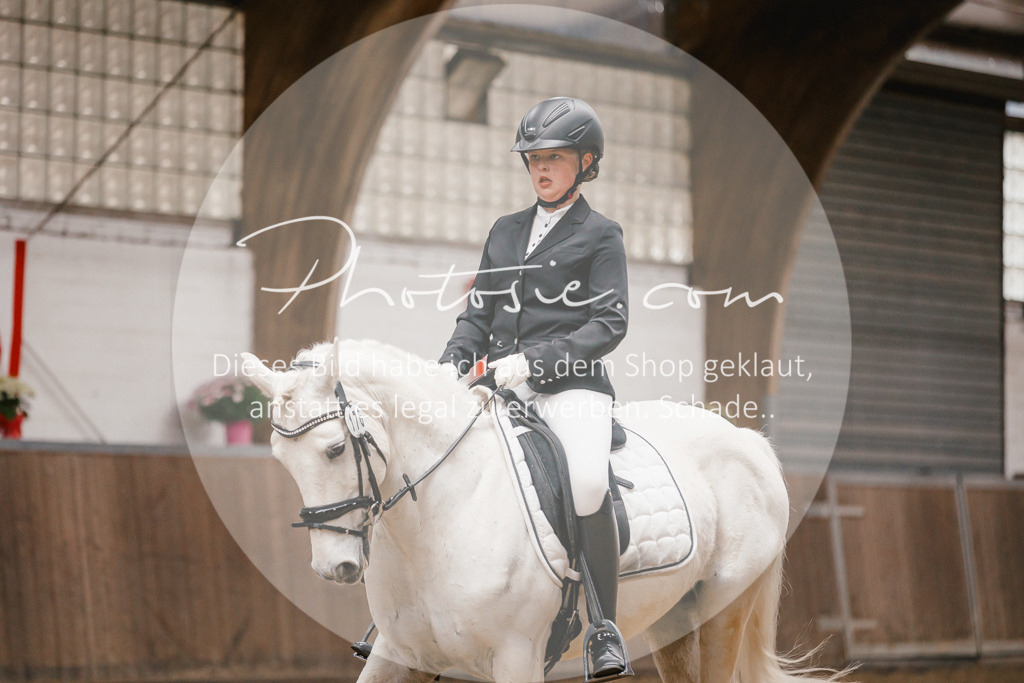 3I6A7870 | Stimmungsvolle Portraits und Reitsportfotografie im Ruhrgebiet und im Münsterland.

Pferdefotografie, Hundefotografie, Tierfotografie, Reportagen, Portraits von Tier und Mensch, Turnierfotografie in Bochum, Recklinghausen, Marl, Haltern am See, Dülmen.. - Realisiert mit Pictrs.com