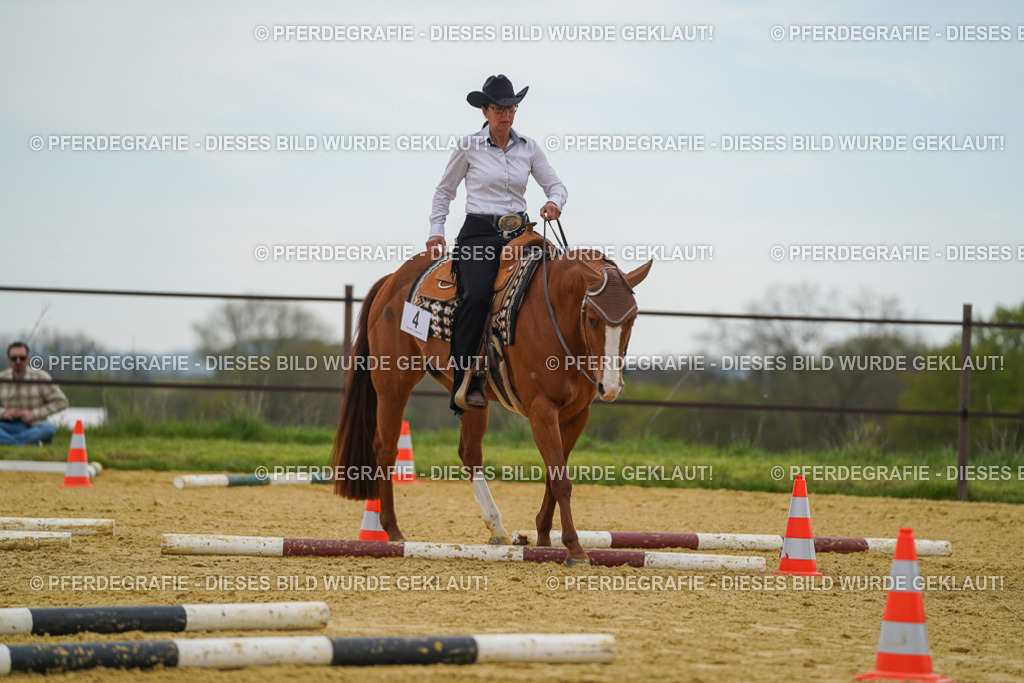 DSC02578 | Pferdegrafie