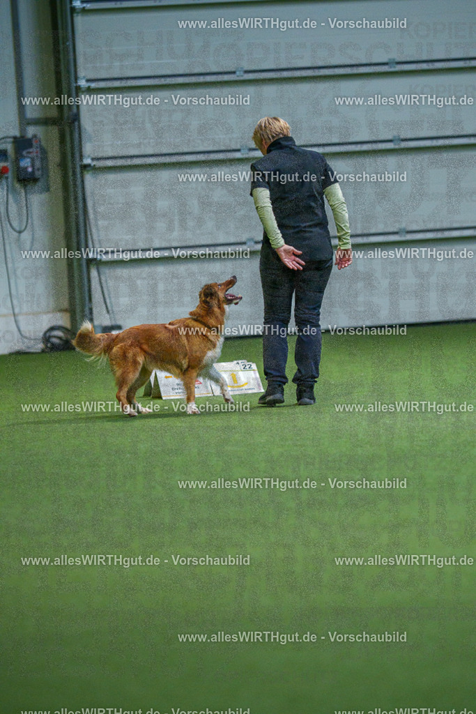 7R500754 | Professionelle Tierfotografie in Mönchengladbach von Daniel Wirth (allesWIRTHgut). Liebevolle & natürliche Bilder von Hunden & Katzen für unvergessliche Erinnerungen.