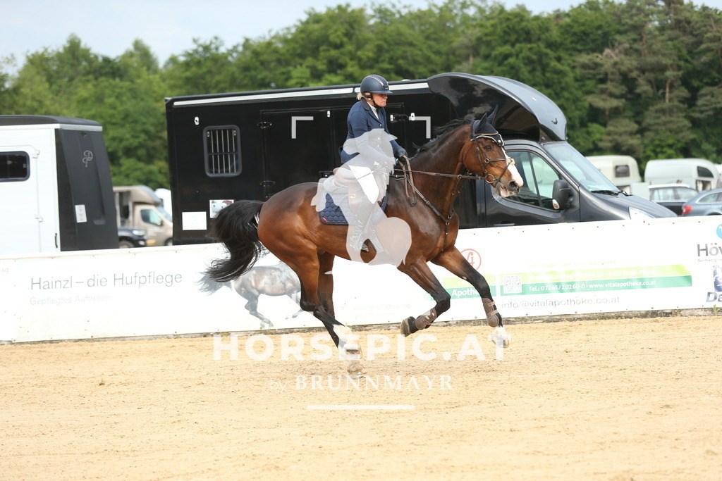 DL2Q4020 | Willkommen bei Brunnmayr - Design & Fotografie – Ihrem Spezialisten für Reitturniere und Pferdeveranstaltungen in Oberösterreich, Salzburg und Bayern! Seit über 17 Jahren sind wir leidenschaftlich dabei.