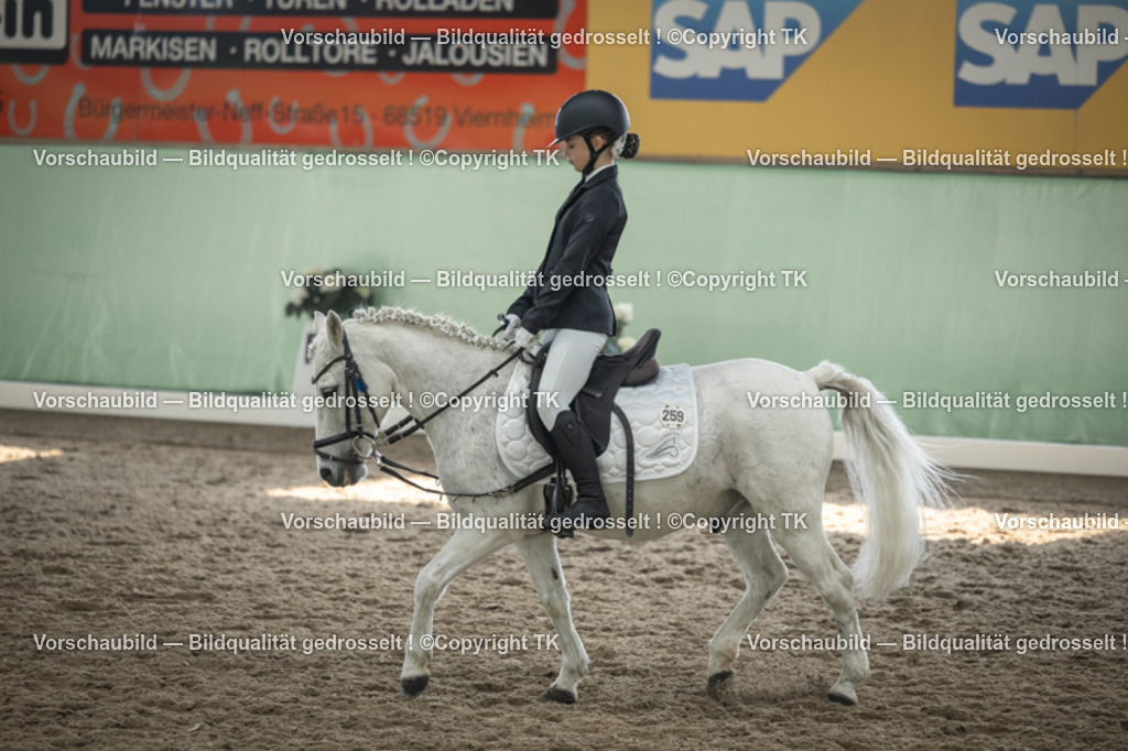 _D5A5659 | Emotionale Pferde- & People-Fotografie rund um Heidelberg, Leimen & Umgebung. Natürliche Fotos von Pferd, Mensch & Familie. Jetzt Termin sichern!